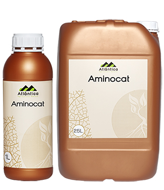 Aminocat