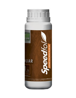 Speedfol amino calmag plus