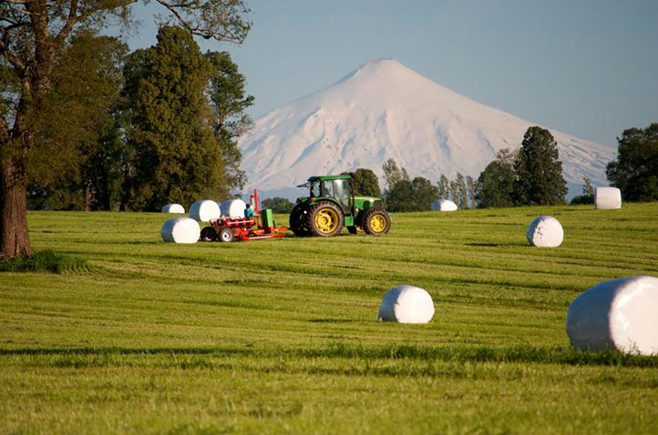 Fertilizantes solubles