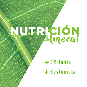 Soluciones-Nutritivas sqmc