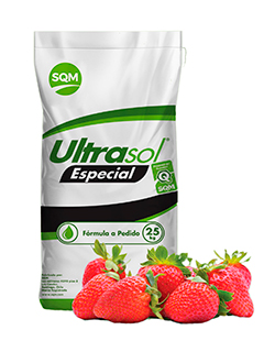 Ultrasol Especial Frutilla