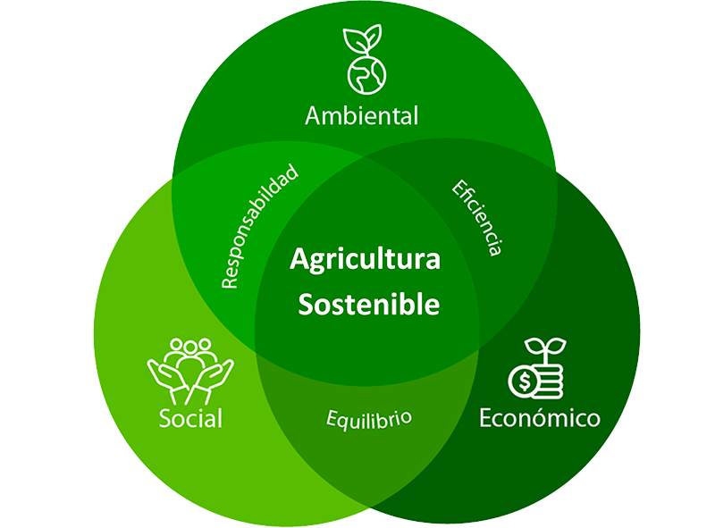 Infografia sostenibilidad sqmc